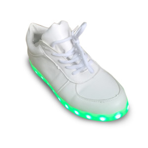 LED shoes light